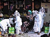 Fasnacht 2002